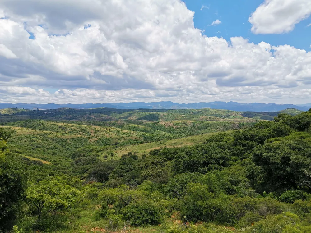 Land at Apolonia, Near Michel Camp