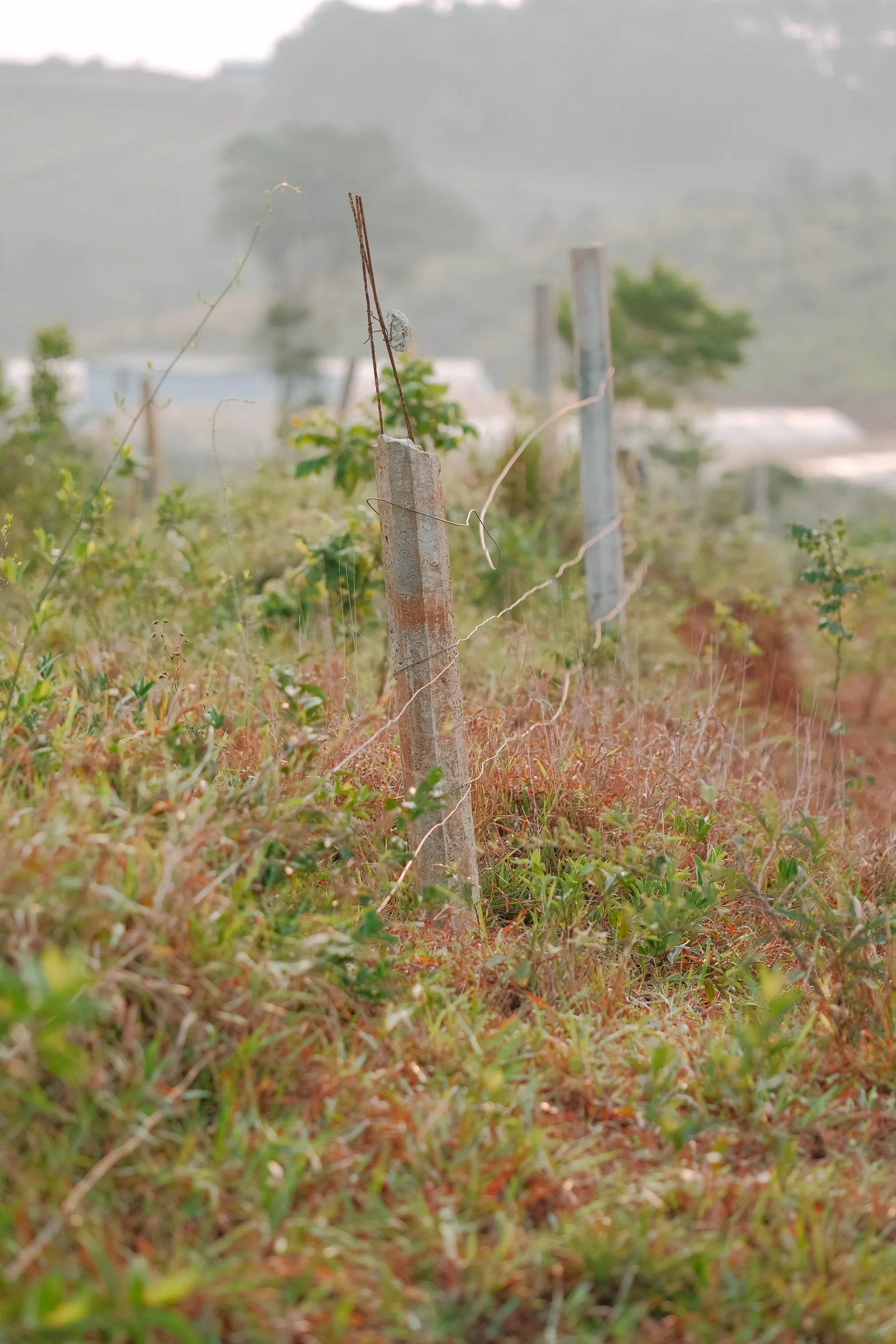 Open land at Miotso, Near Central University